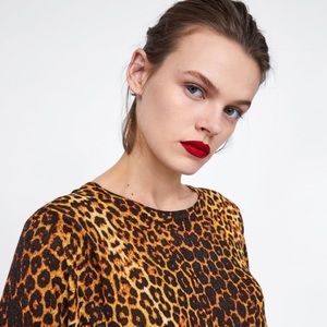 Zara Léopard Print Knit Sweater